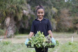 Kalila Saunders prepares to transfer young collard greens to a new spot in the garden.